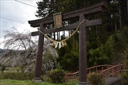 坪沼八幡神社の春-002
